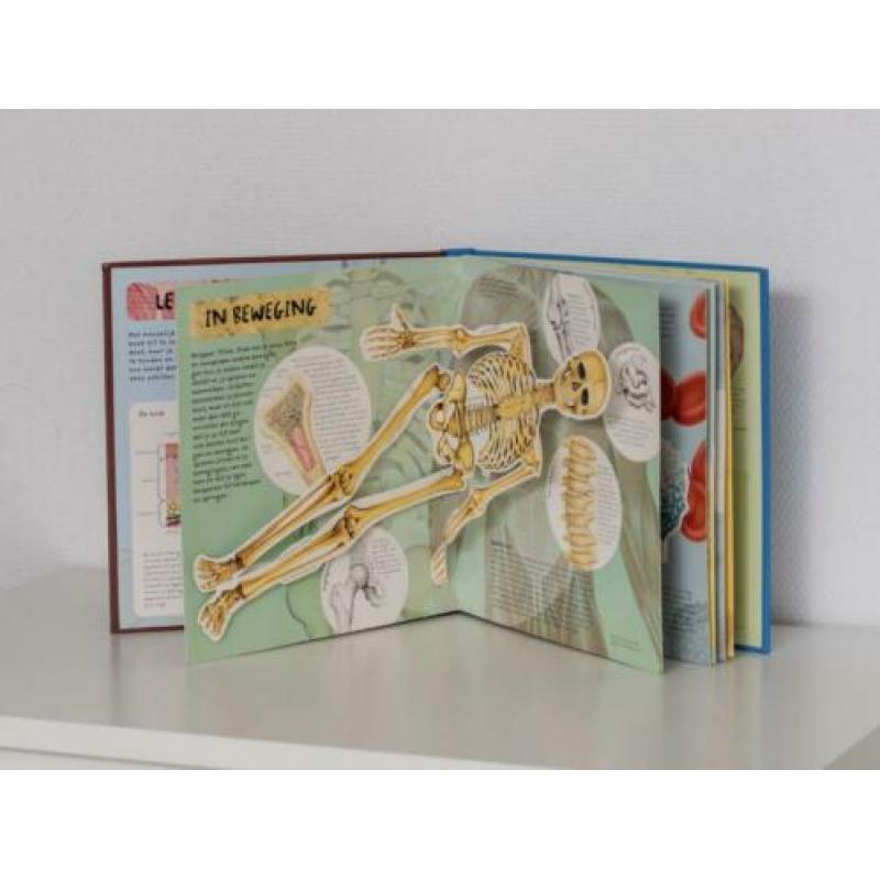 4 prachtige educatieve boeken