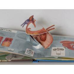 4 prachtige educatieve boeken