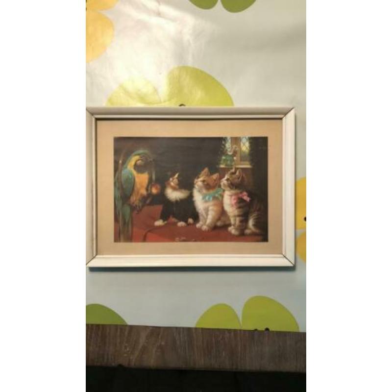 Vintage / retro poezen plaatje in gebroken wit lijstje