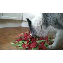 **NIEUW** Snuffelmat voor de hond met gratis snuffelbrokjes