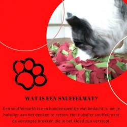 **NIEUW** Snuffelmat voor de hond met gratis snuffelbrokjes