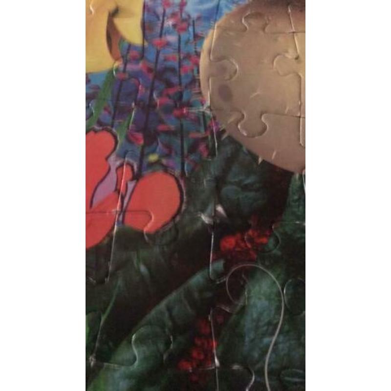 Finding nemo puzzel