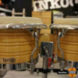 LP Generation II Professionel Bongo +Stand