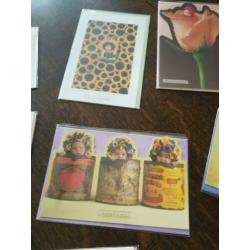 Vintage Anne Geddes postkaarten