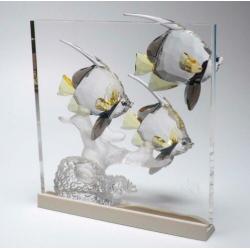 Kristal Swarovski Wonders of the sea: Community Color.
