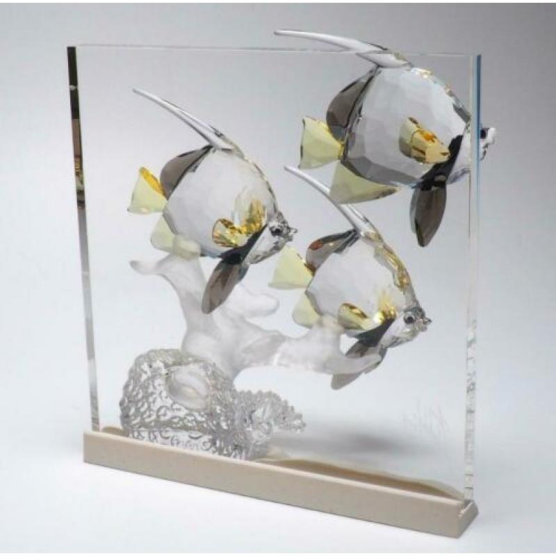 Kristal Swarovski Wonders of the sea: Community Color.
