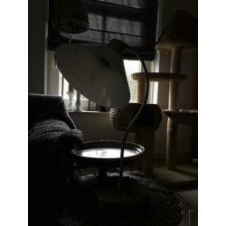 2 verstelbare tafel, bureau lampen.