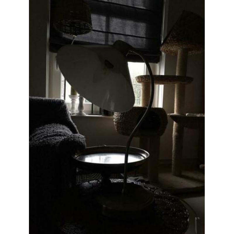 2 verstelbare tafel, bureau lampen.