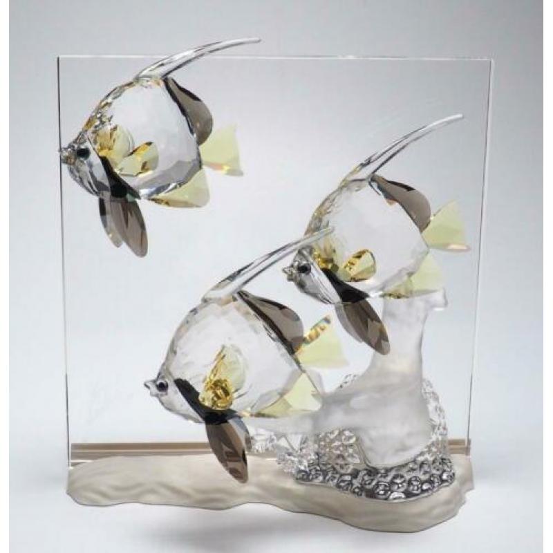 Kristal Swarovski Wonders of the sea: Community Color.
