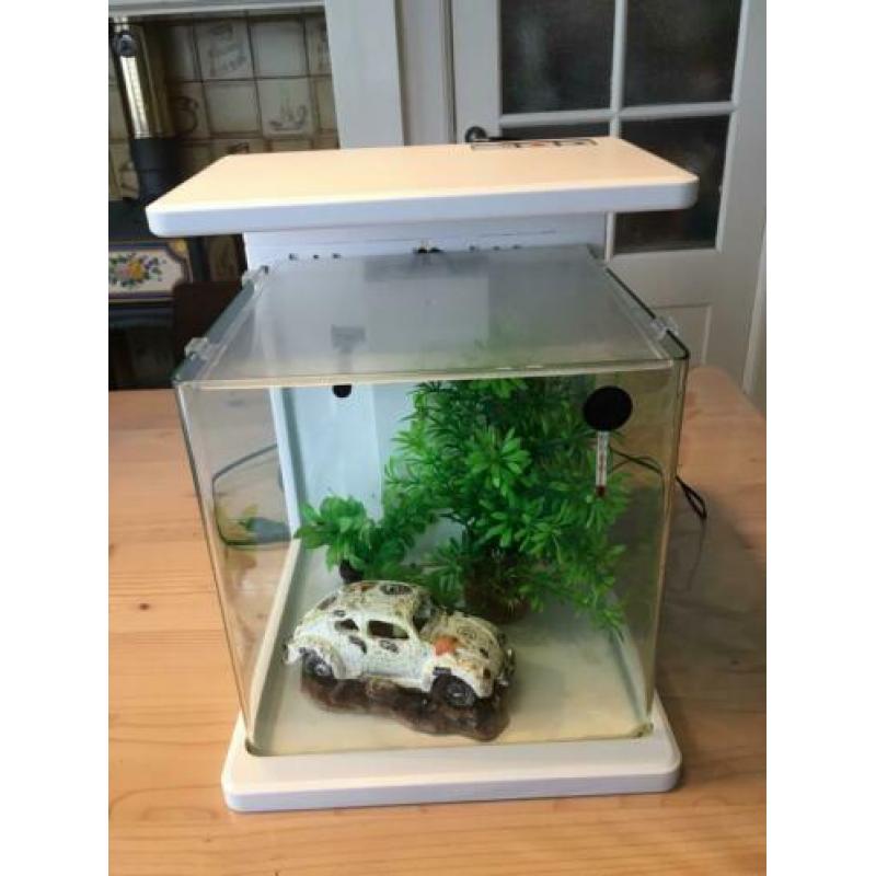 Aquarium