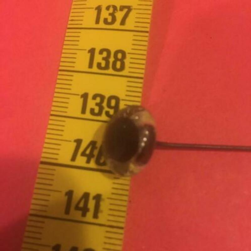 Glas Ogen rond 15 mm 10 paar bruin zwart