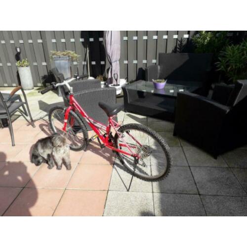 Te koop kindercrossfiets