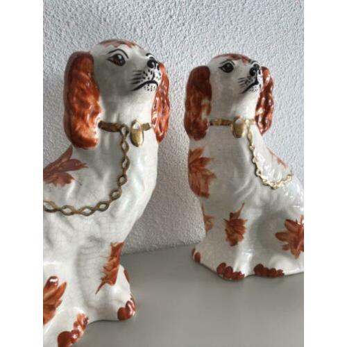 Originele Staffordshire honden