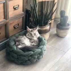 Kattenmand lont wol