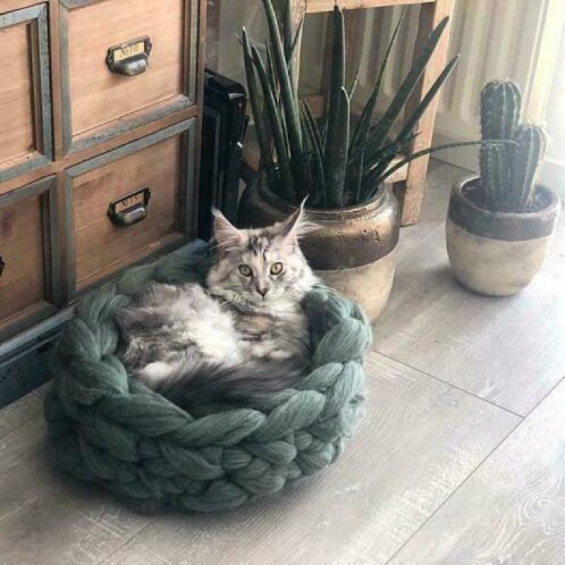 Kattenmand lont wol
