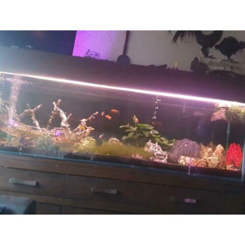 Aquarium 2ml 75 hoog zonder kap50cn breed