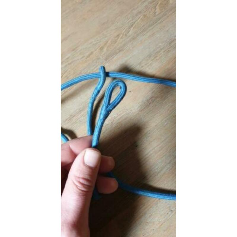 Blauw ere koord