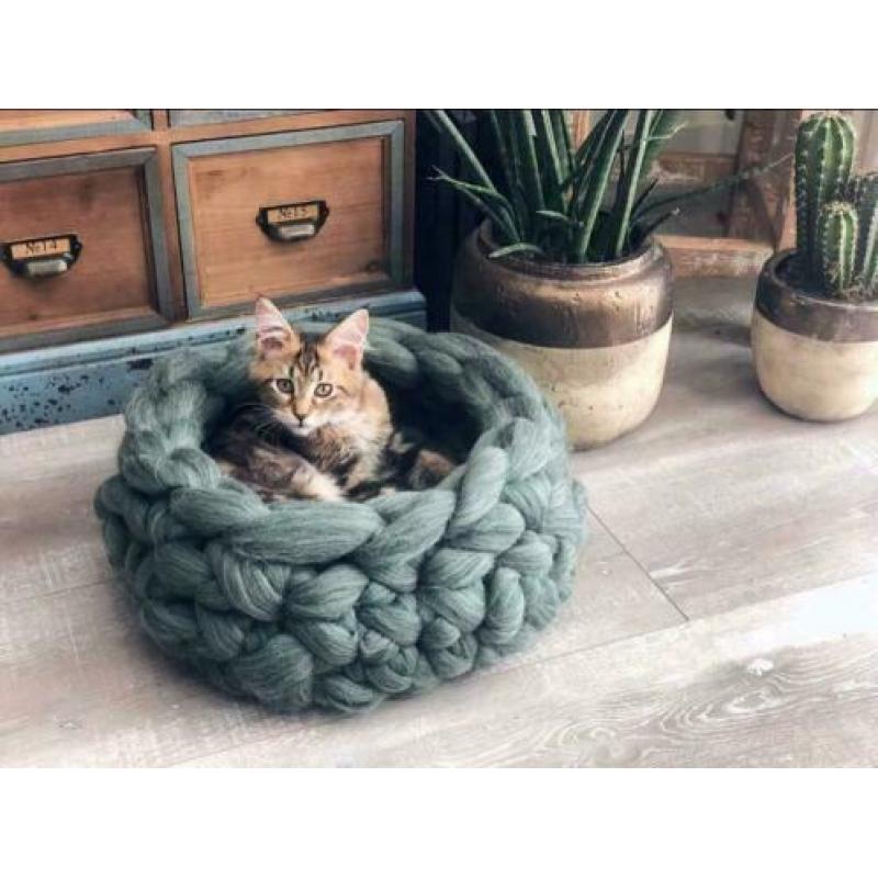 Kattenmand lont wol