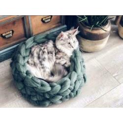 Kattenmand lont wol
