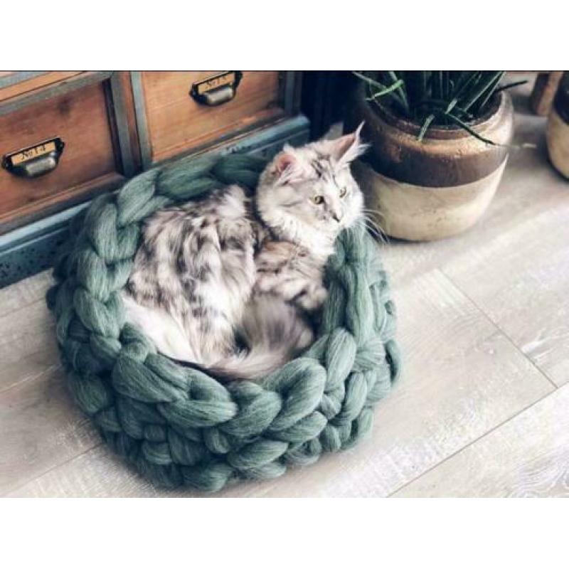 Kattenmand lont wol