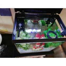 Aquarium 20L met filter, thermostaat en LED licht