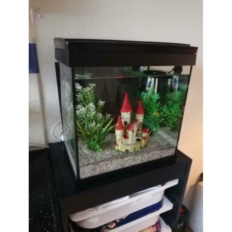 Aquarium 20L met filter, thermostaat en LED licht