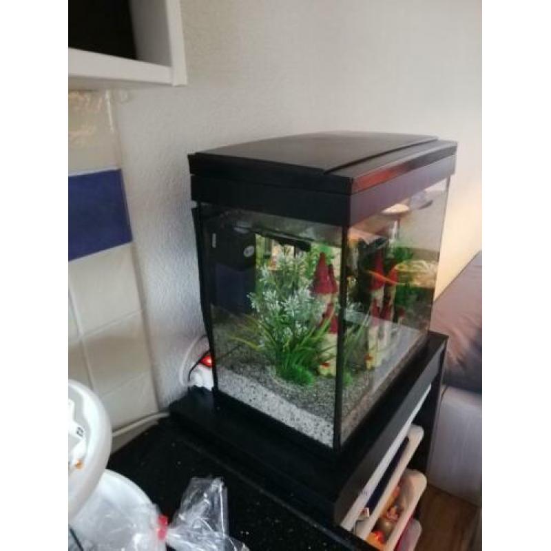 Aquarium 20L met filter, thermostaat en LED licht