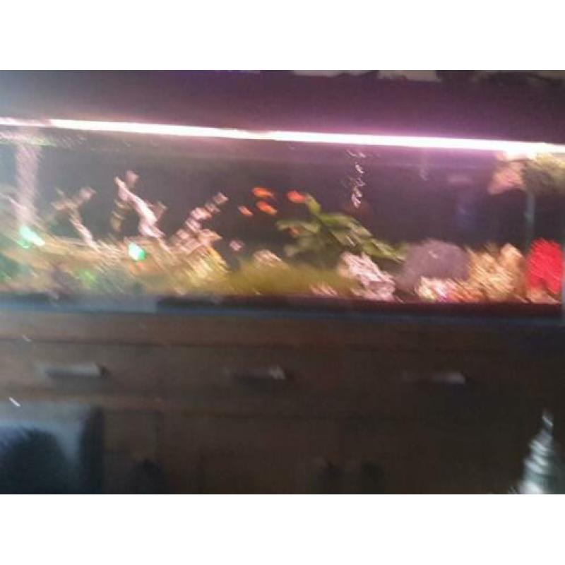 Aquarium 2ml 75 hoog zonder kap50cn breed