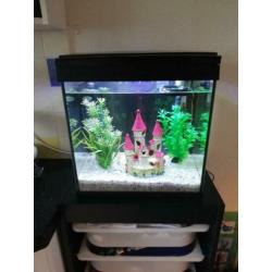 Aquarium 20L met filter, thermostaat en LED licht