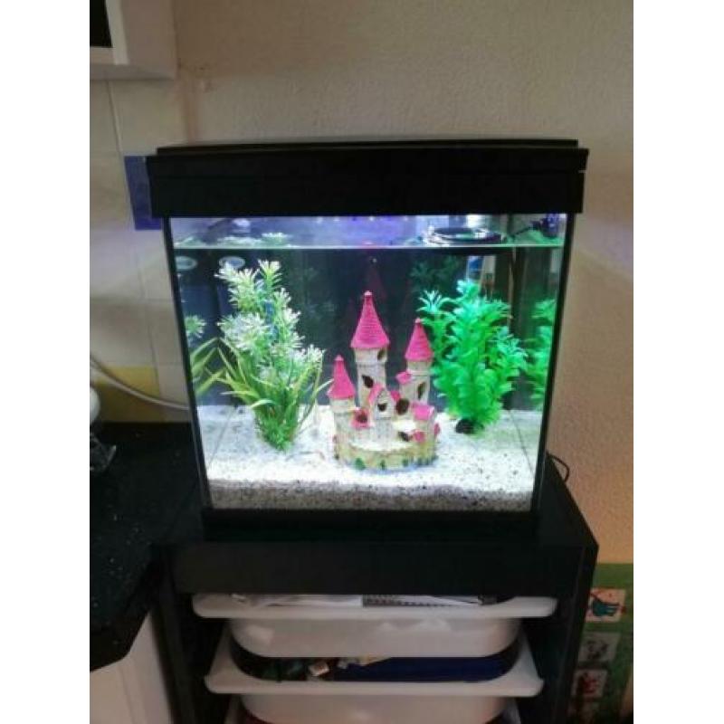 Aquarium 20L met filter, thermostaat en LED licht