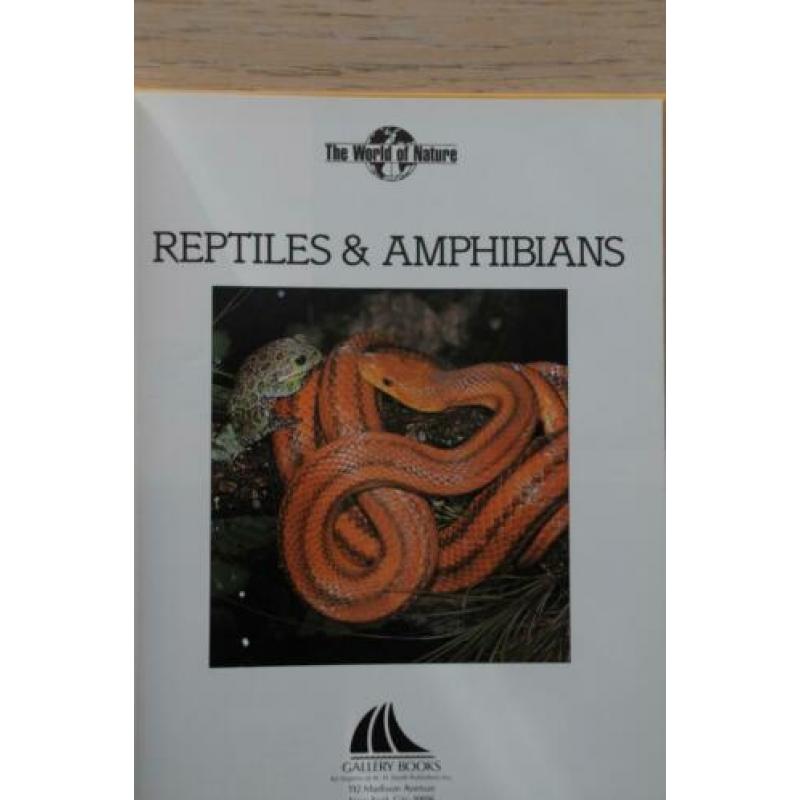 Reptiles & Amphibians reptielen, amfibieen slangen etc nieuw