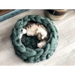 Kattenmand lont wol