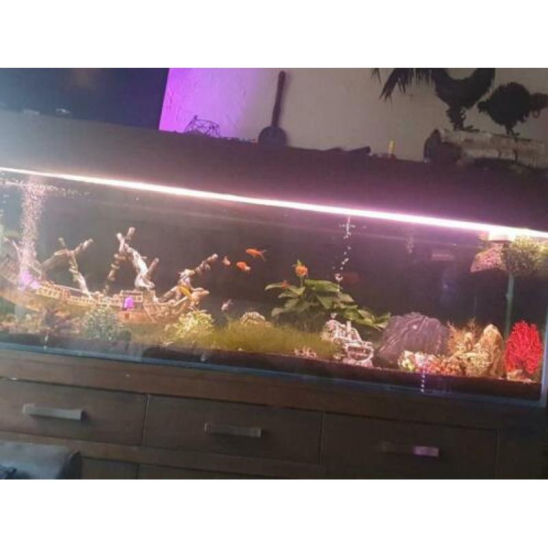 Aquarium 2ml 75 hoog zonder kap50cn breed