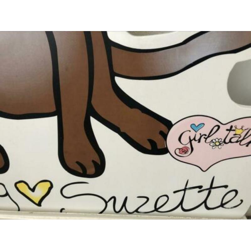 chihuahua geboorte dog suzette