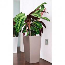 Grote witte plantenpot lechuza 30x30x56