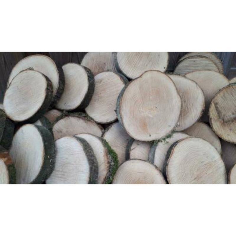 houten schijf of houten stammetje eiken