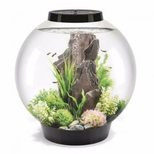 biOrb CLASSIC | 60 LED | THERMO | Zwart