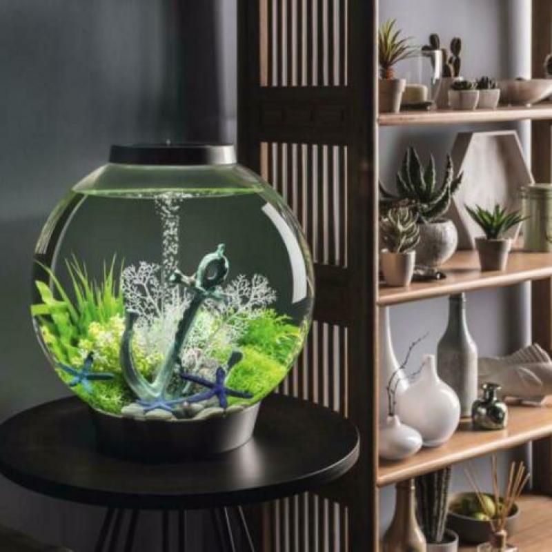biOrb CLASSIC | 60 LED | THERMO | Zwart