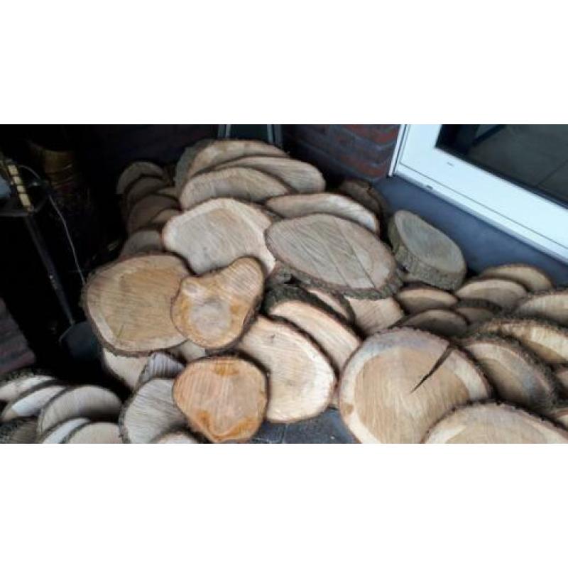houten schijf of houten stammetje eiken