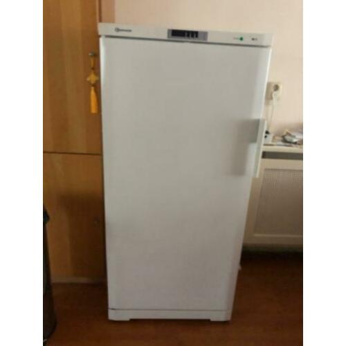 Vrieskast Bauknecht GKEA245 170 liter
