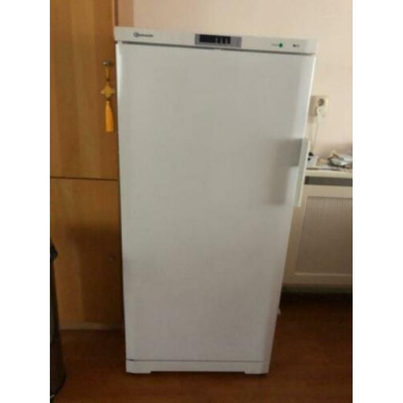 Vrieskast Bauknecht GKEA245 170 liter