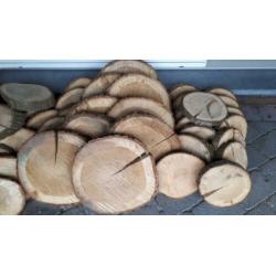 houten schijf of houten stammetje eiken