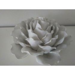 Grote witte roos en nog 23 foto's met alleen witte items.