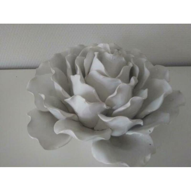 Grote witte roos en nog 23 foto's met alleen witte items.