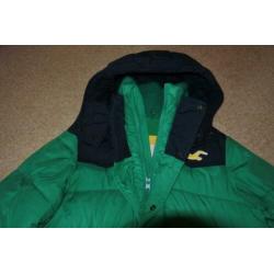 hollister winterjas M groen met donker blauw