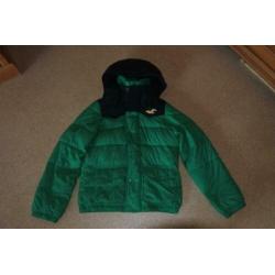 hollister winterjas M groen met donker blauw