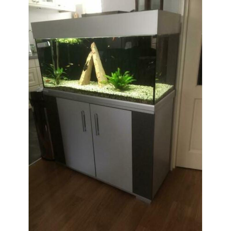 Aqarium