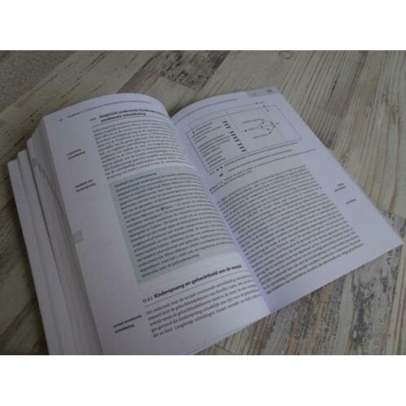 Pedagogiek in beeld