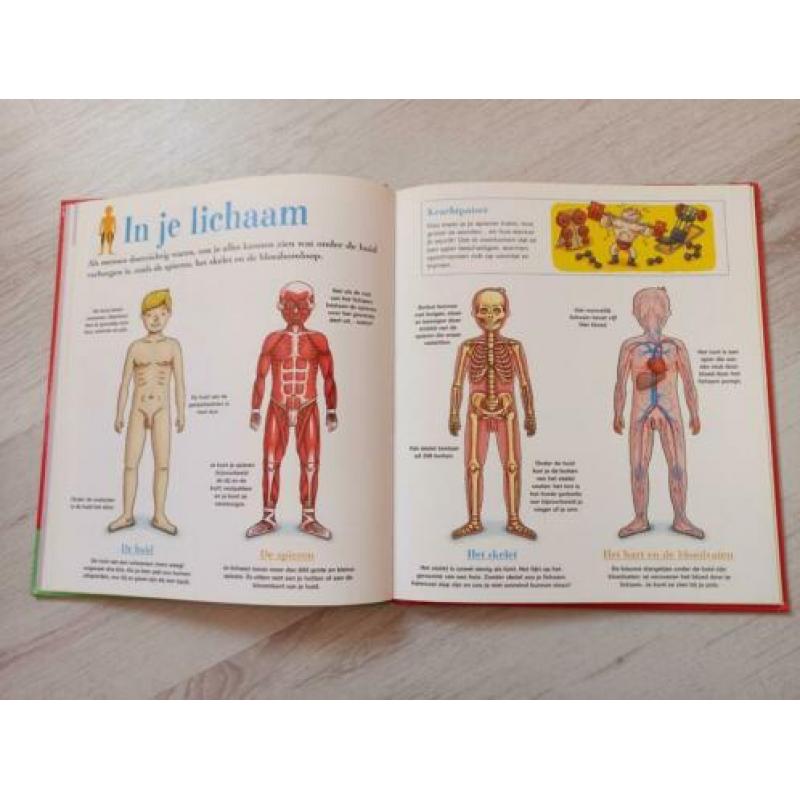 Boek Het Menselijk lichaam Hema