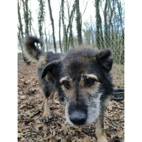 ter adoptie in Spanje